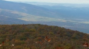 wpid-img20141022_191455.jpg